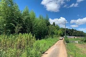 近隣風景