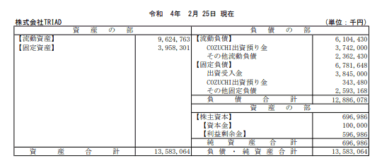 TRIAD社の貸借対照表（決算情報）