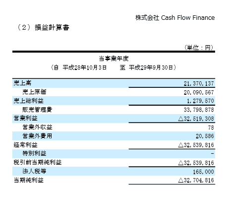 キャッシュフローファイナンスの損益計算書